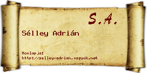 Sélley Adrián névjegykártya